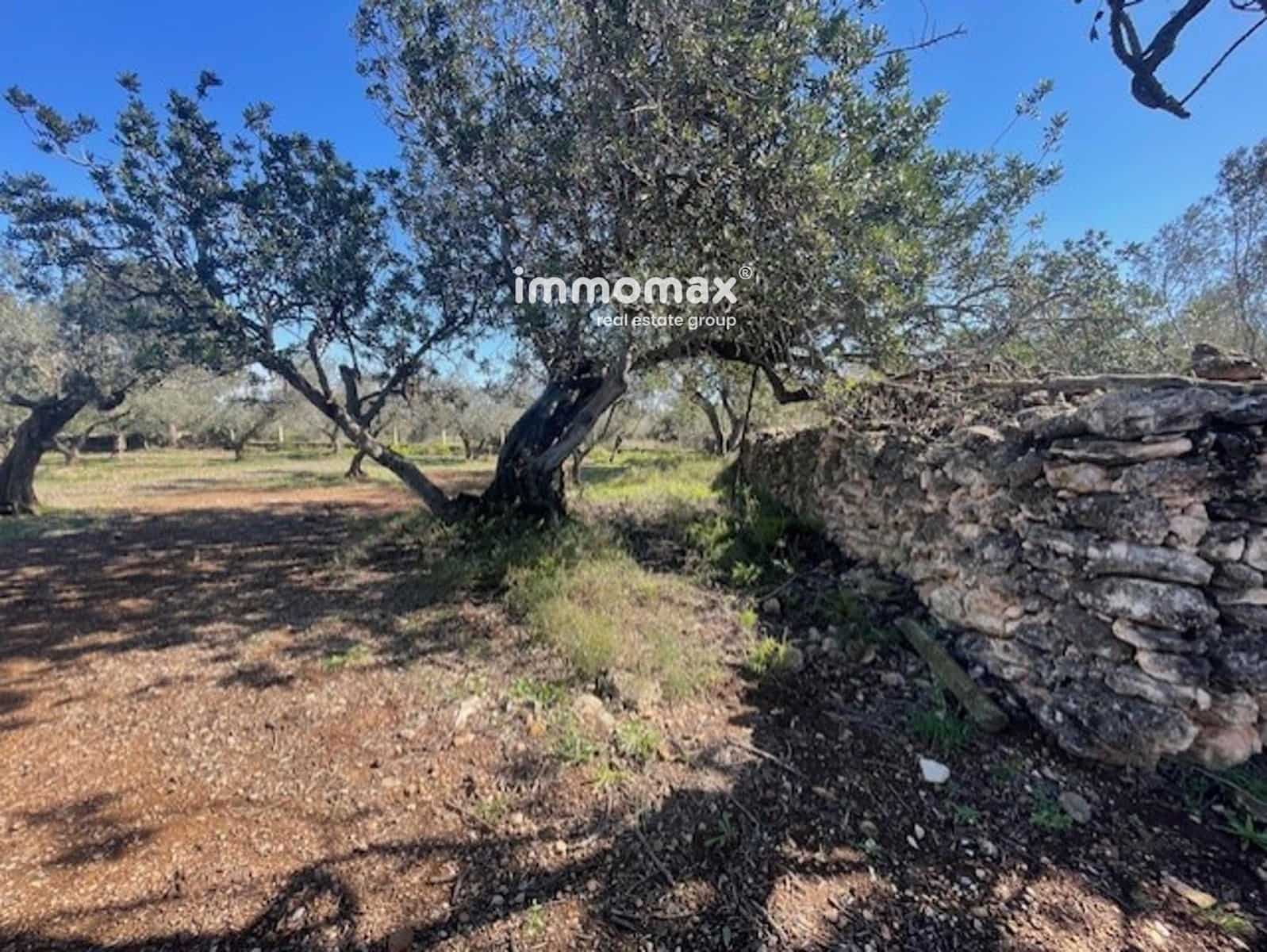 Grunde uden byggetilladelser til salg i Roquetes - € 69.500 (Ref: 9061534)