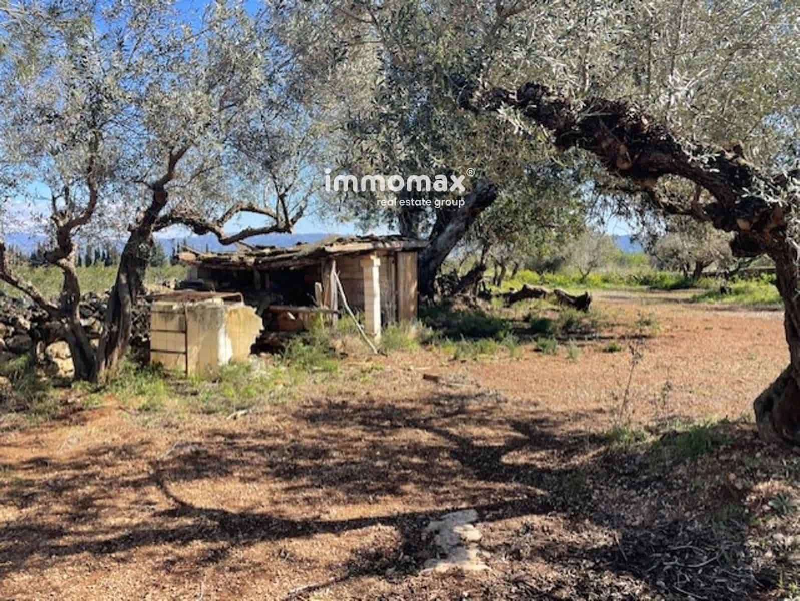 Grunde uden byggetilladelser til salg i Roquetes - € 69.500 (Ref: 9061534)