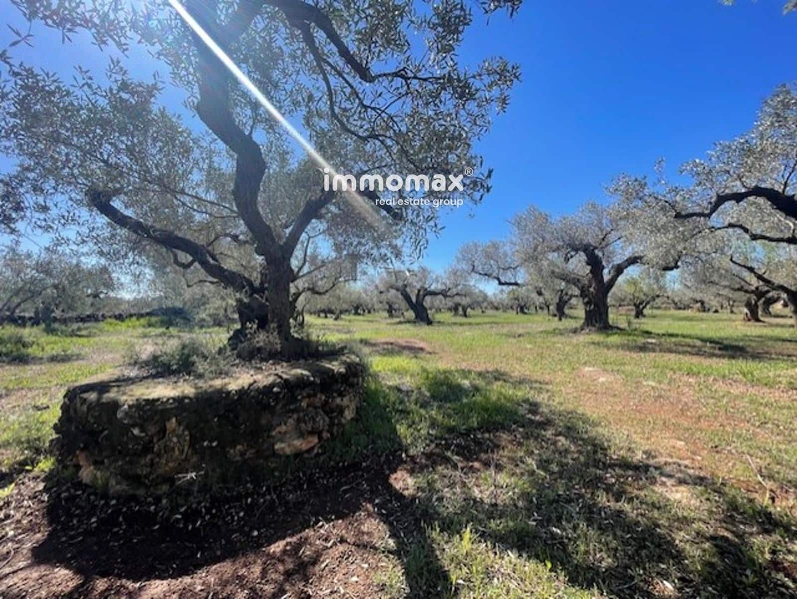 Grunde uden byggetilladelser til salg i Roquetes - € 69.500 (Ref: 9061534)