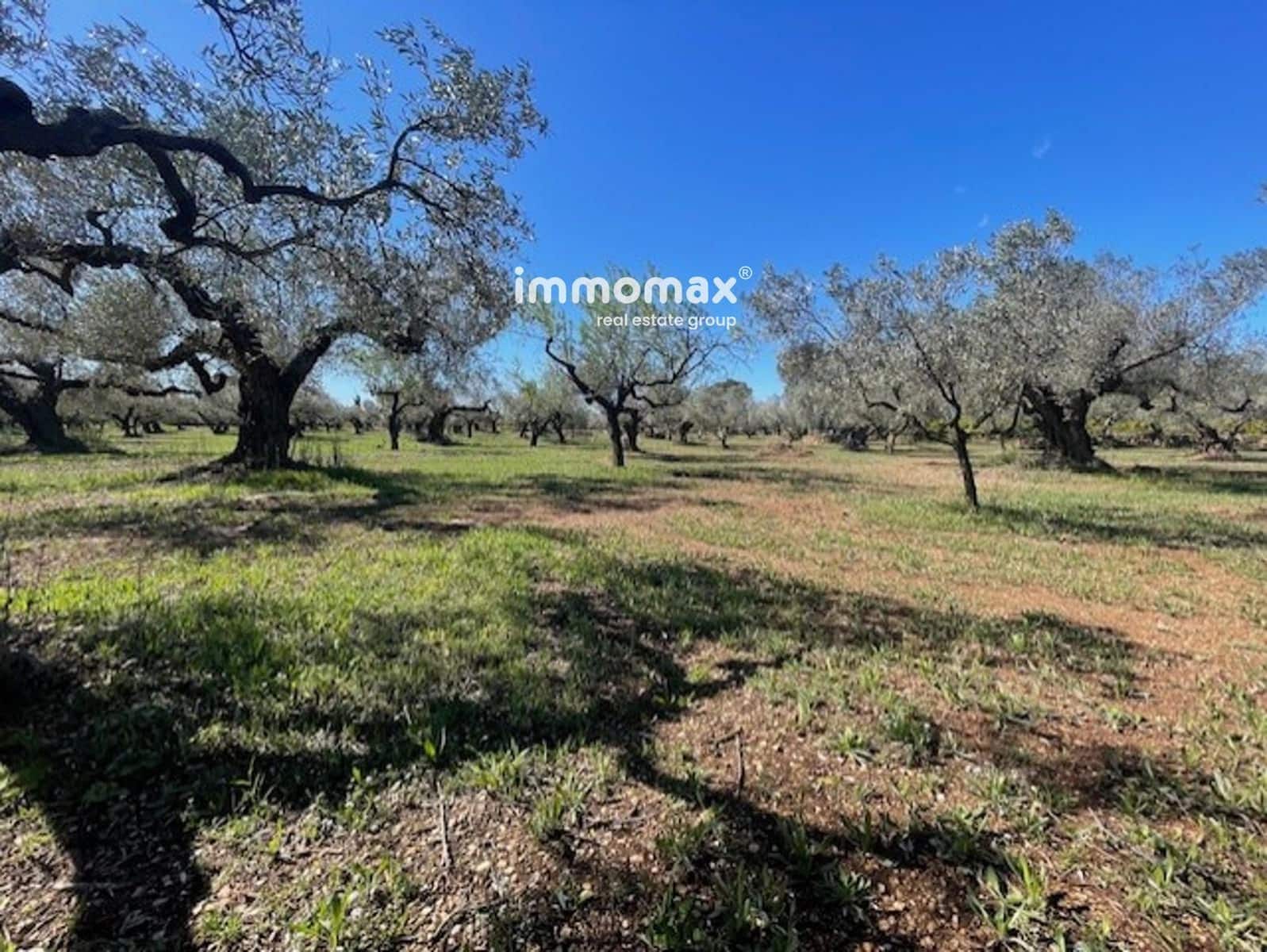 Grunde uden byggetilladelser til salg i Roquetes - € 69.500 (Ref: 9061534)