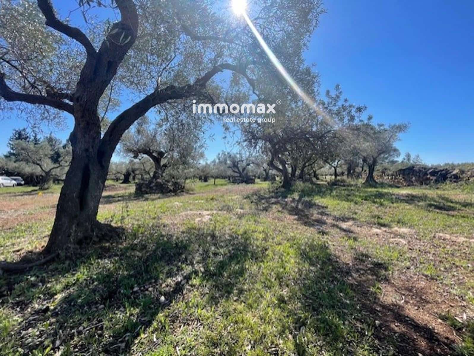 Grunde uden byggetilladelser til salg i Roquetes - € 69.500 (Ref: 9061534)