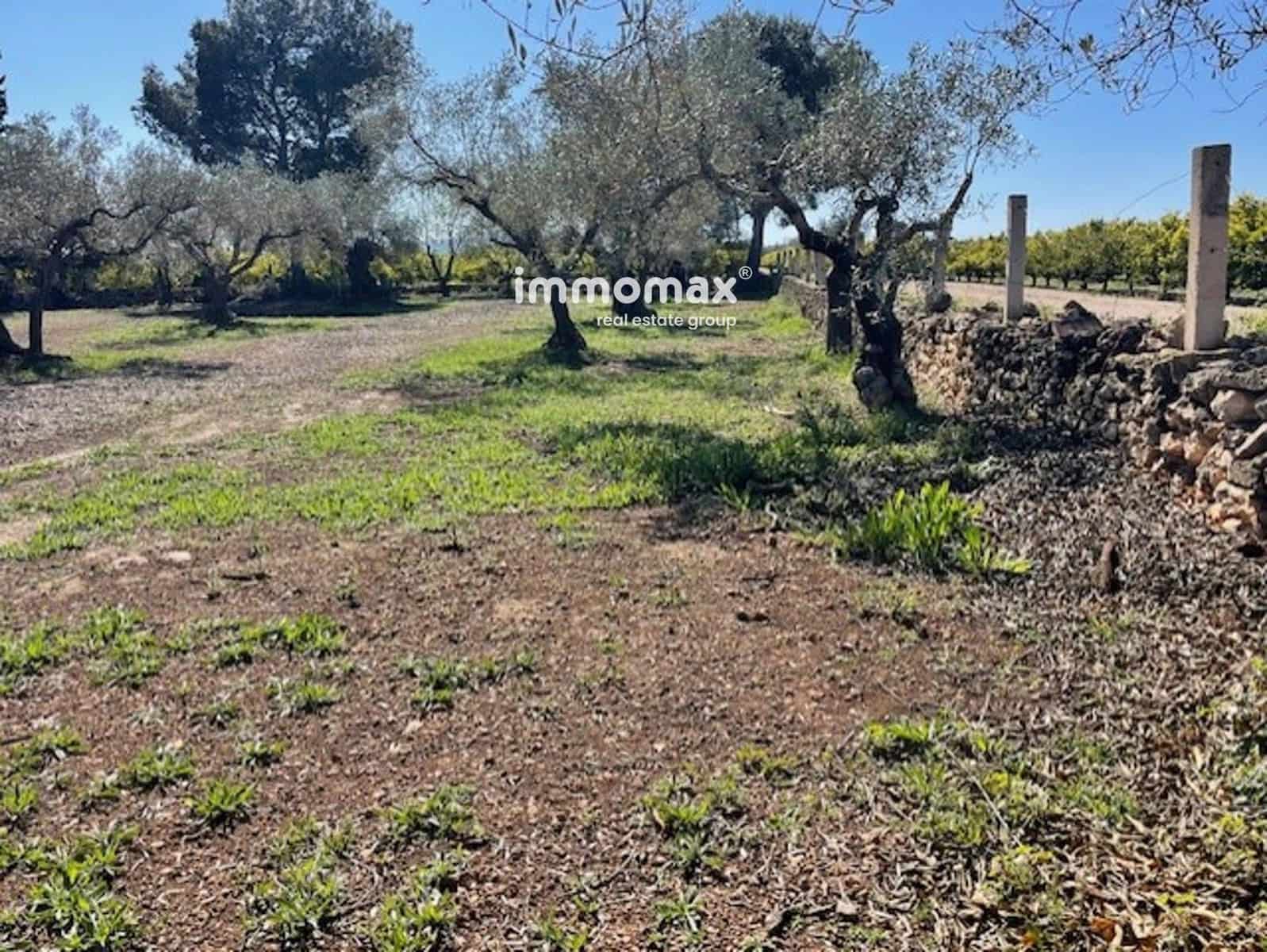 Grunde uden byggetilladelser til salg i Roquetes - € 69.500 (Ref: 9061534)