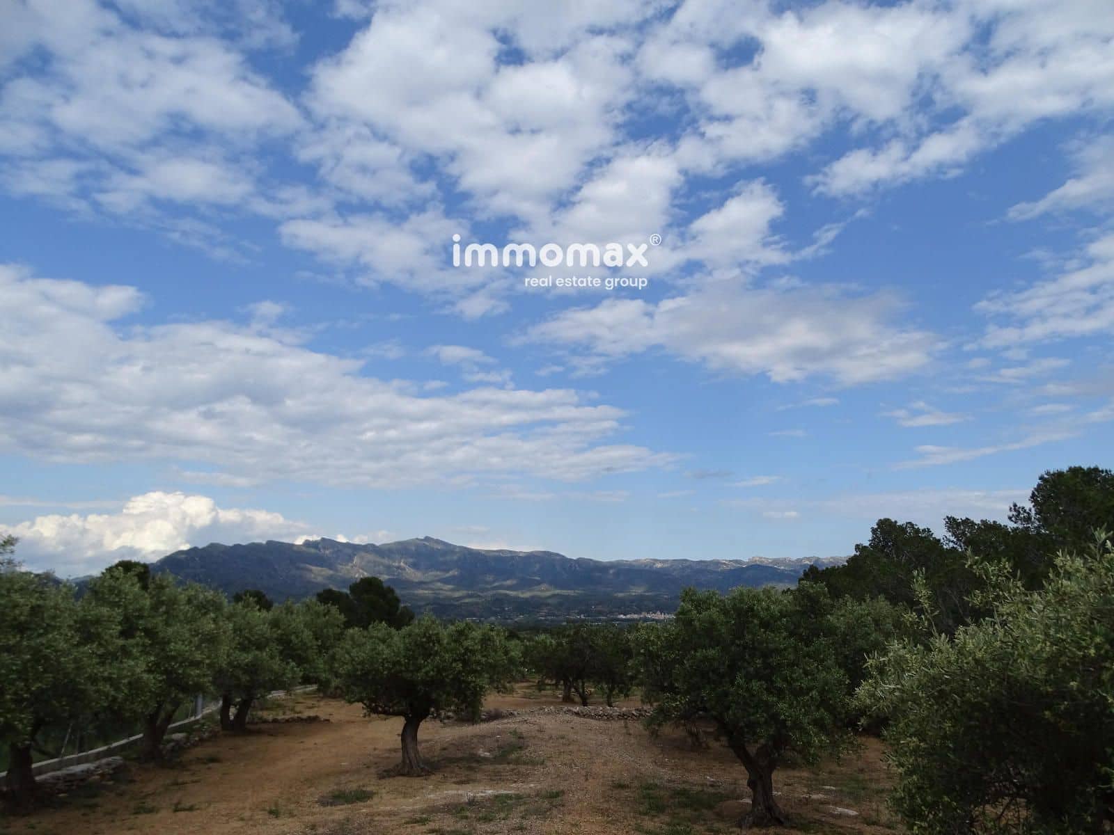 Ubebygd land til salgs i Xerta - € 34 000 (Ref: 9103583)