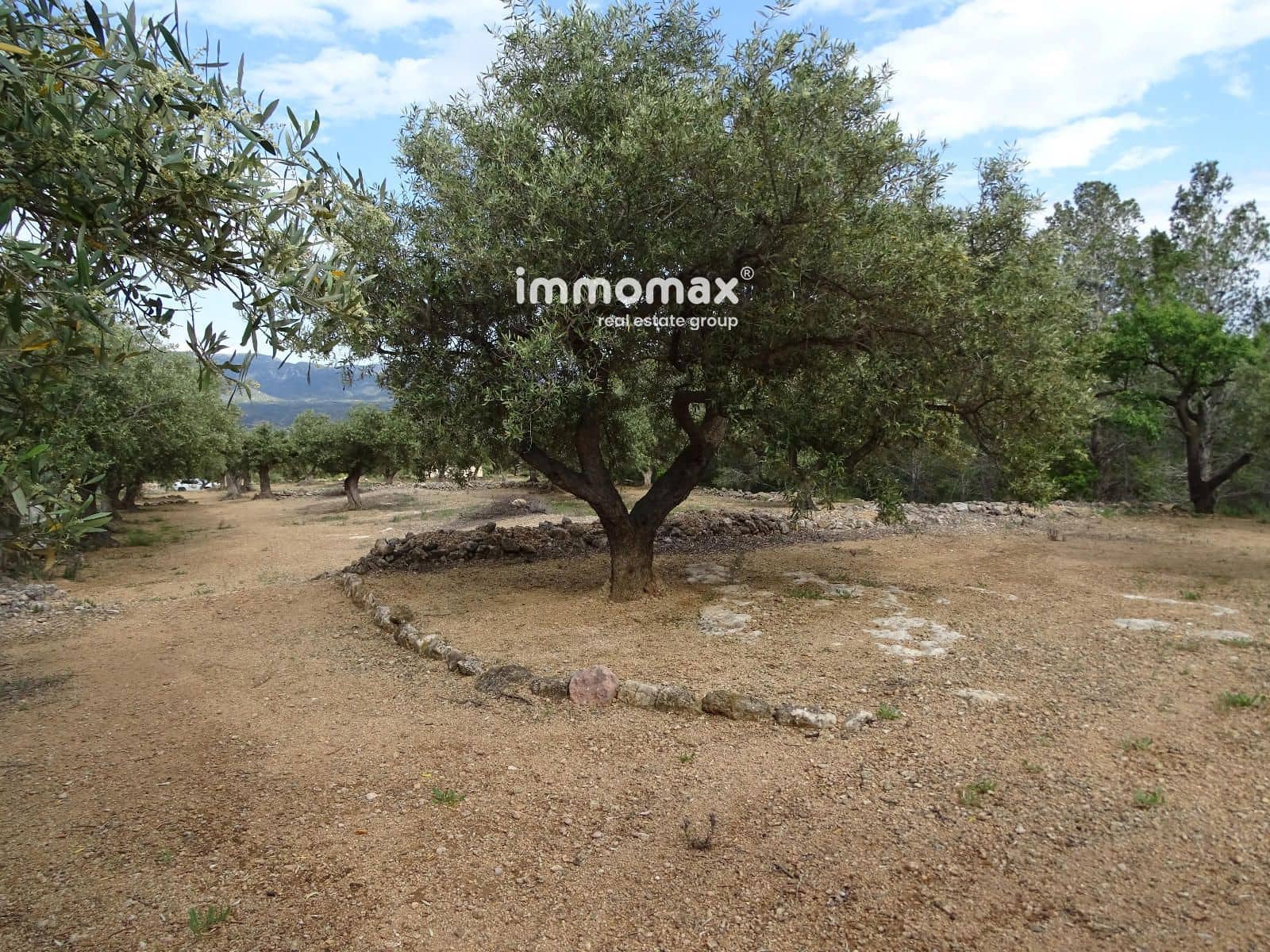 Ubebygd land til salgs i Xerta - € 34 000 (Ref: 9103583)