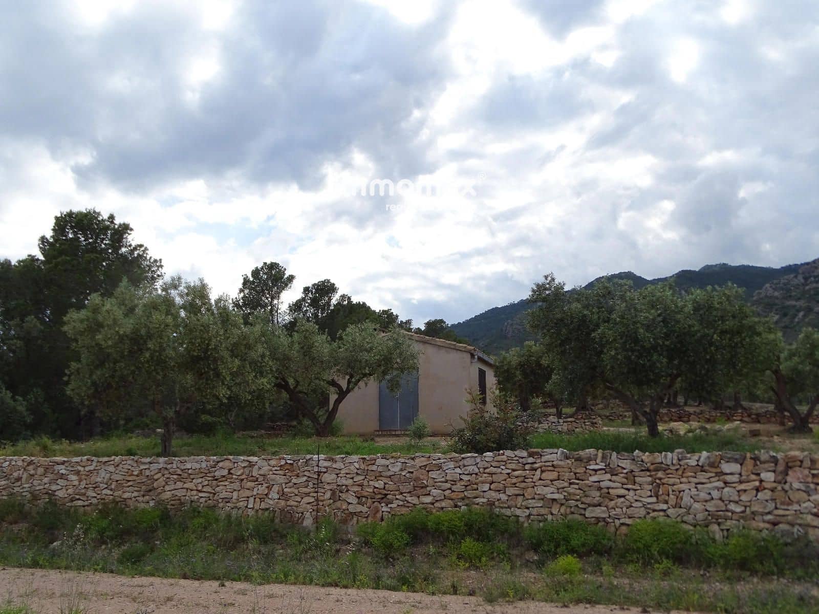Ubebygd land til salgs i Xerta - € 34 000 (Ref: 9103583)