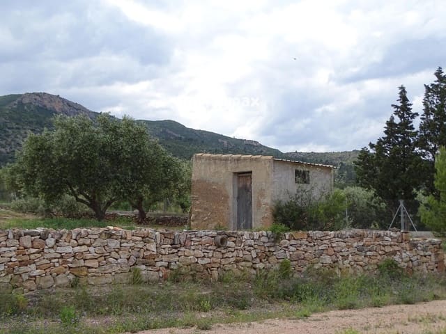 Undeveloped Land for sale in Xerta - € 34,000 (Ref: 9103583)
