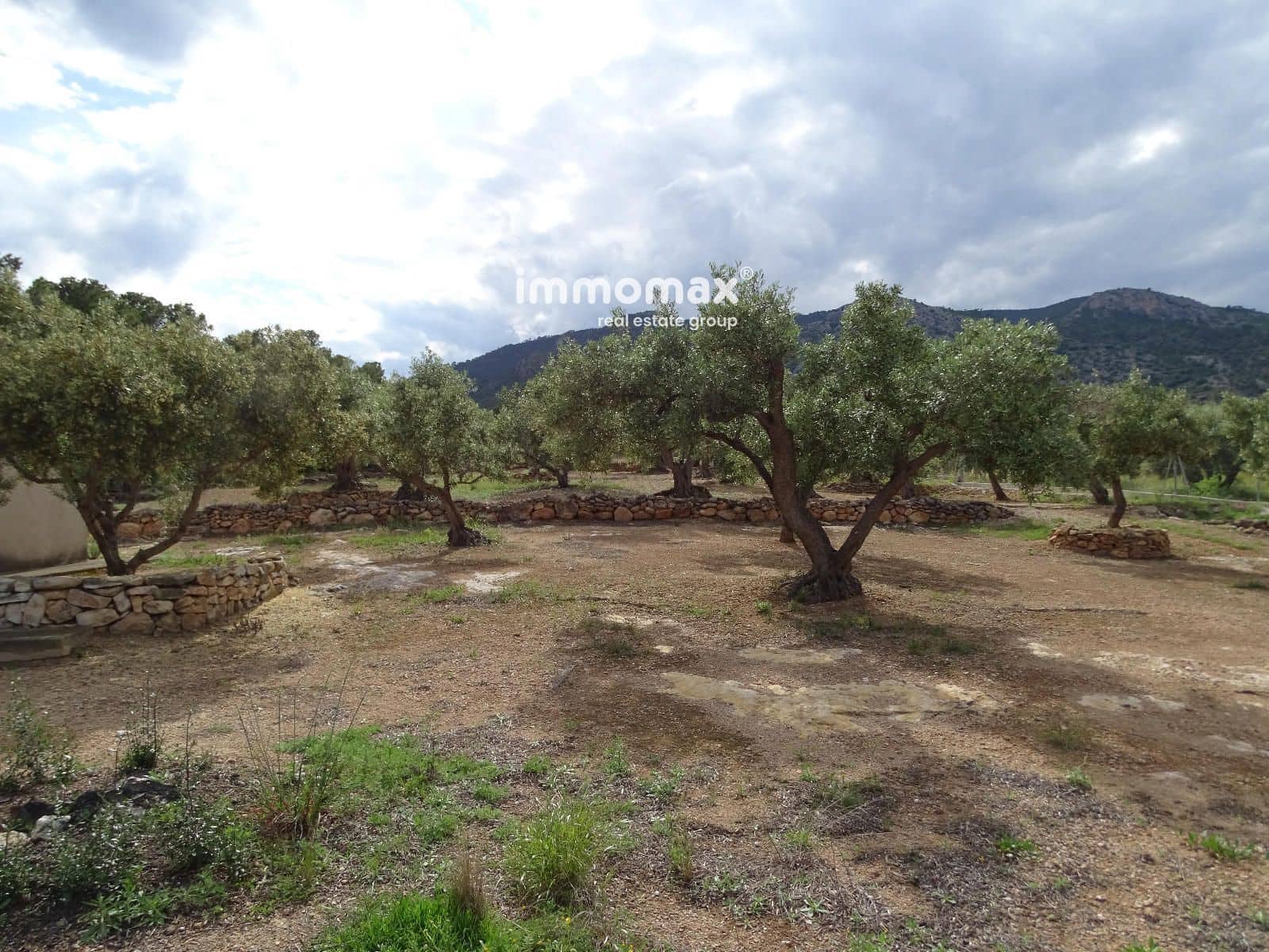 Ubebygd land til salgs i Xerta - € 34 000 (Ref: 9103583)