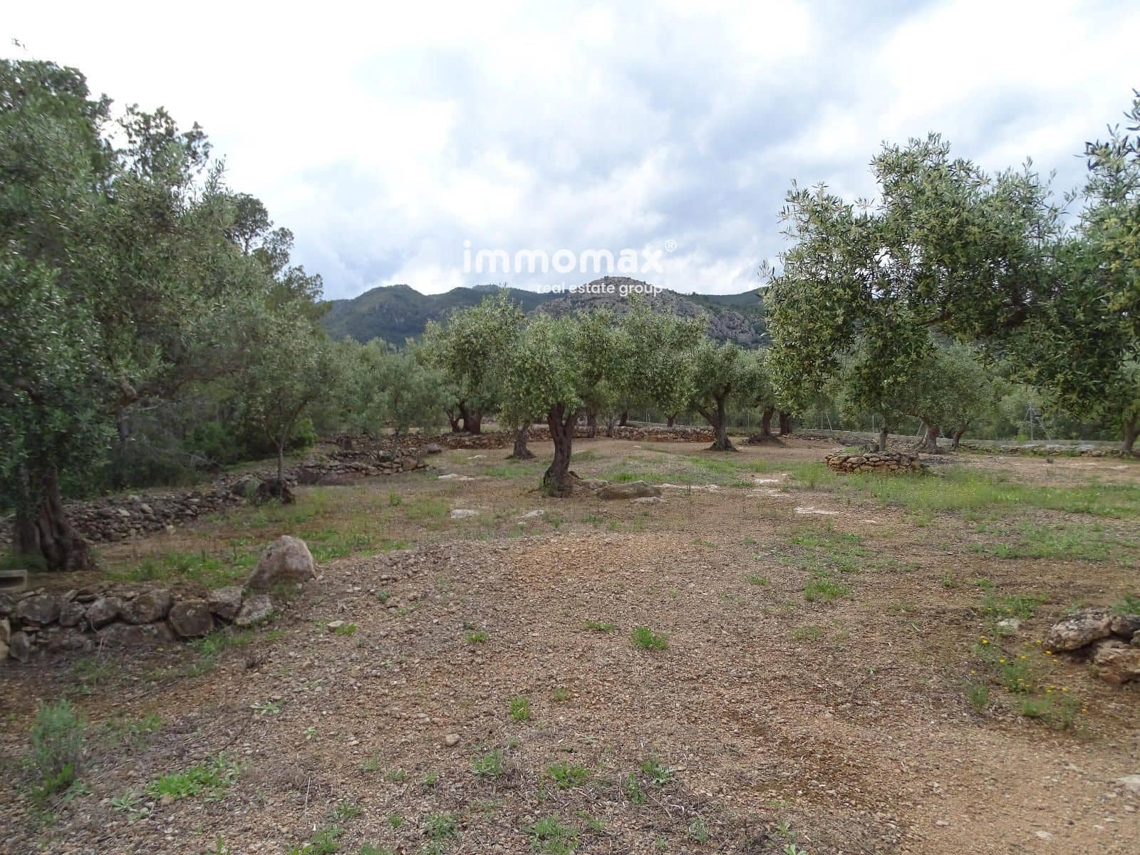Ubebygd land til salgs i Xerta - € 34 000 (Ref: 9103583)