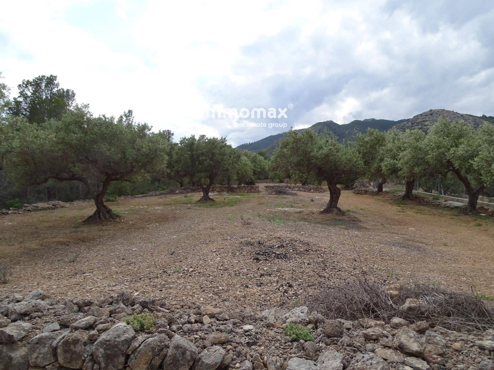 Ubebygd land til salgs i Xerta - € 34 000 (Ref: 9103583)