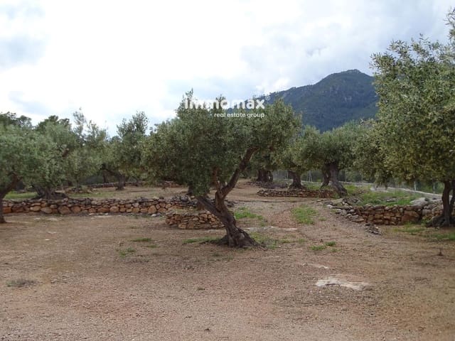 Undeveloped Land for sale in Xerta - € 34,000 (Ref: 9103583)