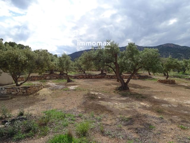 Undeveloped Land for sale in Xerta - € 34,000 (Ref: 9103583)