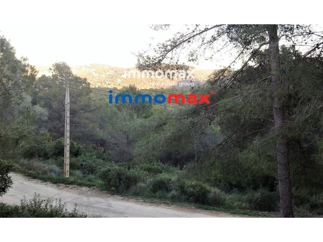 Tontti myytävänä paikassa Canyelles - 40 000 € (Ref: 9126256)
