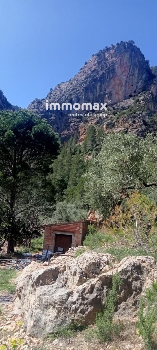 Byggegrund til salg i Pauls - € 68.000 (Ref: 9135144)