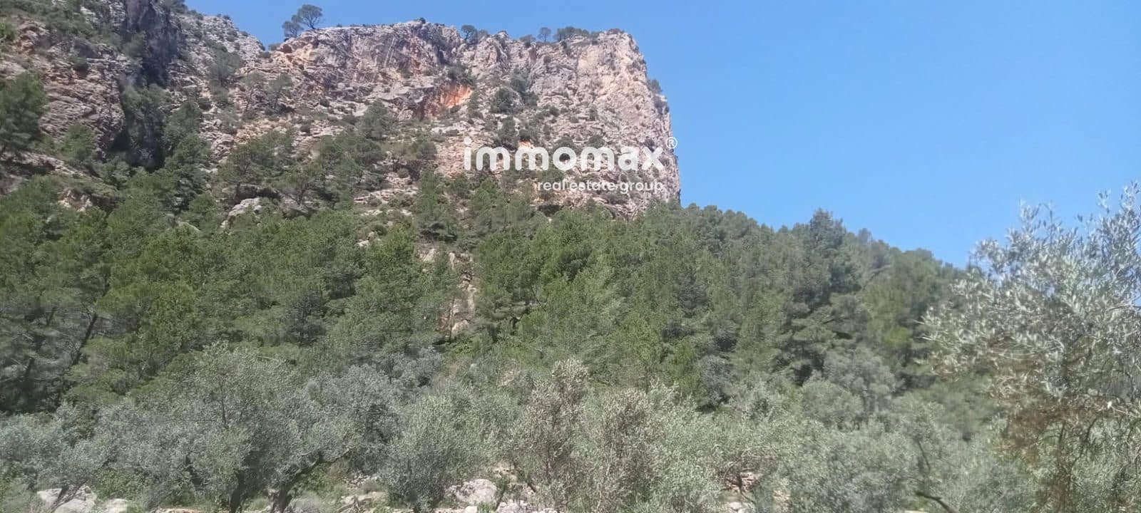 Byggegrund til salg i Pauls - € 68.000 (Ref: 9135144)