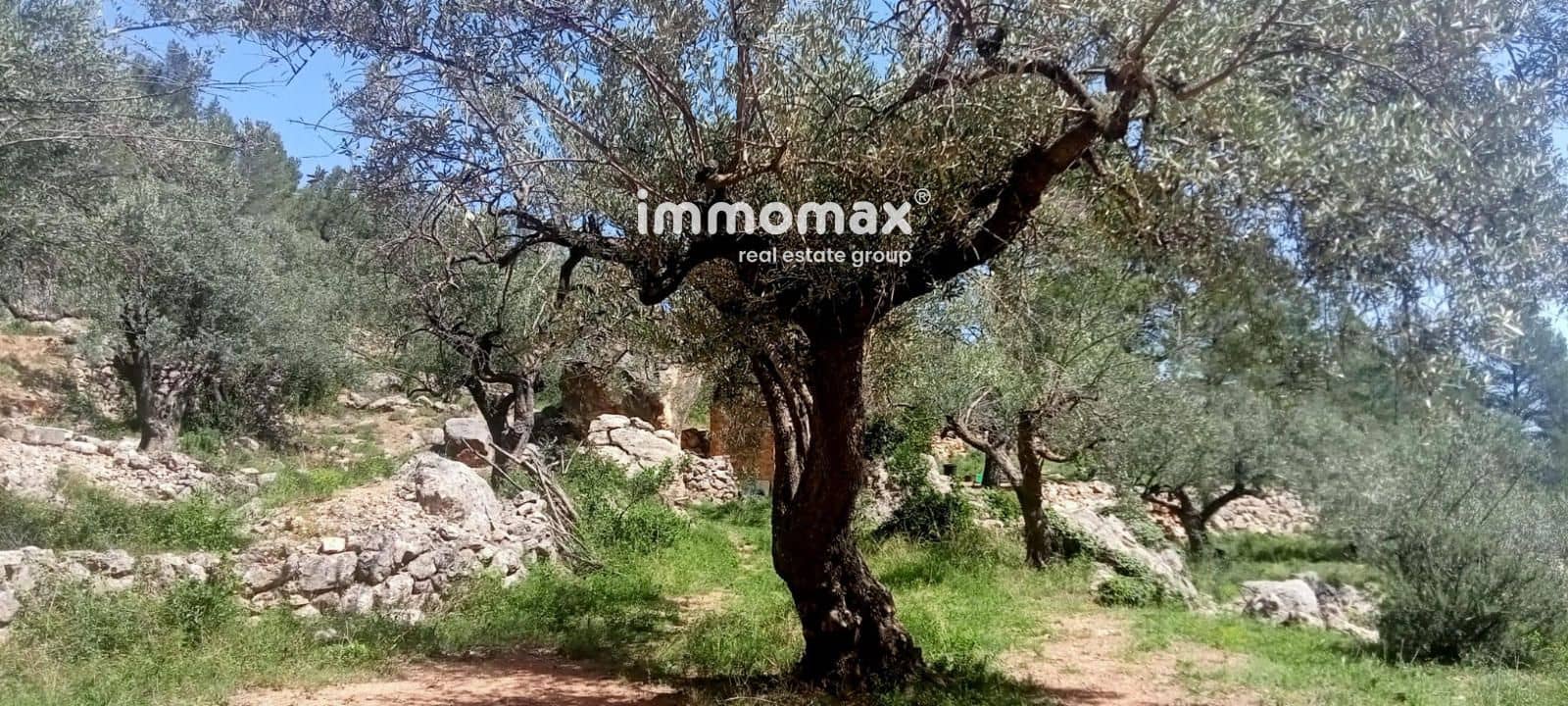 Byggegrund til salg i Pauls - € 68.000 (Ref: 9135144)