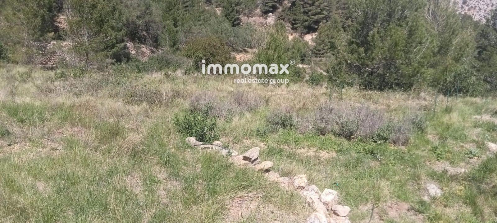 Byggegrund til salg i Pauls - € 68.000 (Ref: 9135144)