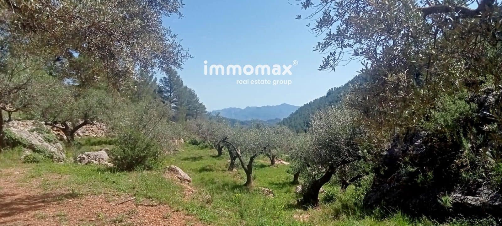 Byggegrund til salg i Pauls - € 68.000 (Ref: 9135144)