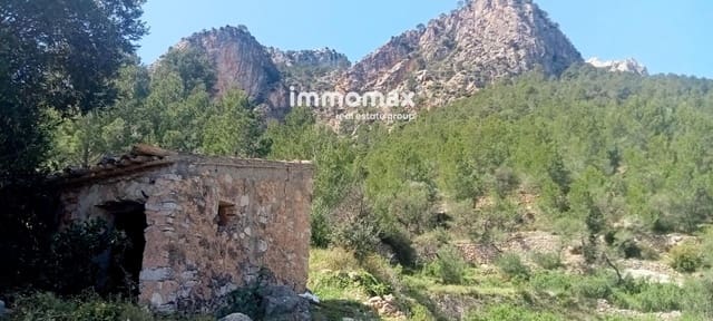 Bouwgrond te koop in Paüls - € 68.000 (Ref: 9135144)