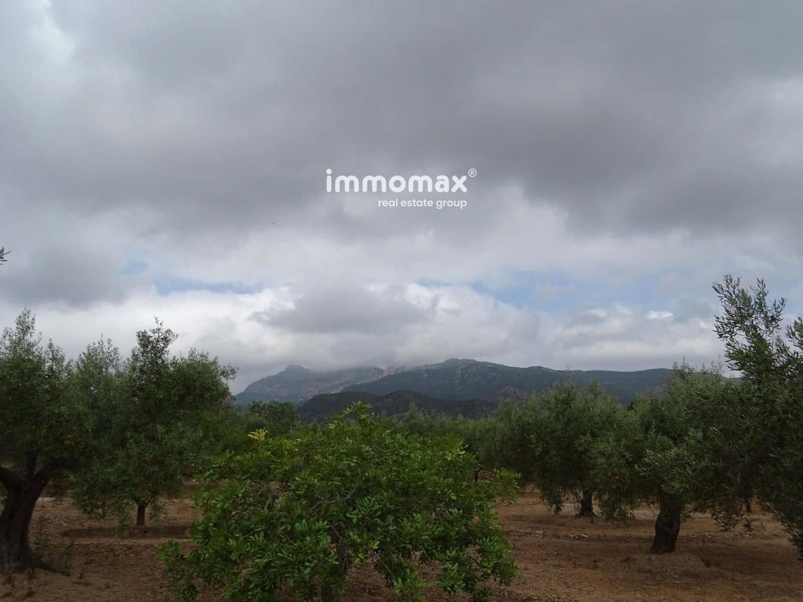 Teren niezagospodarowany na sprzedaż w Xerta - 66 000 € (Ref: 9138282)