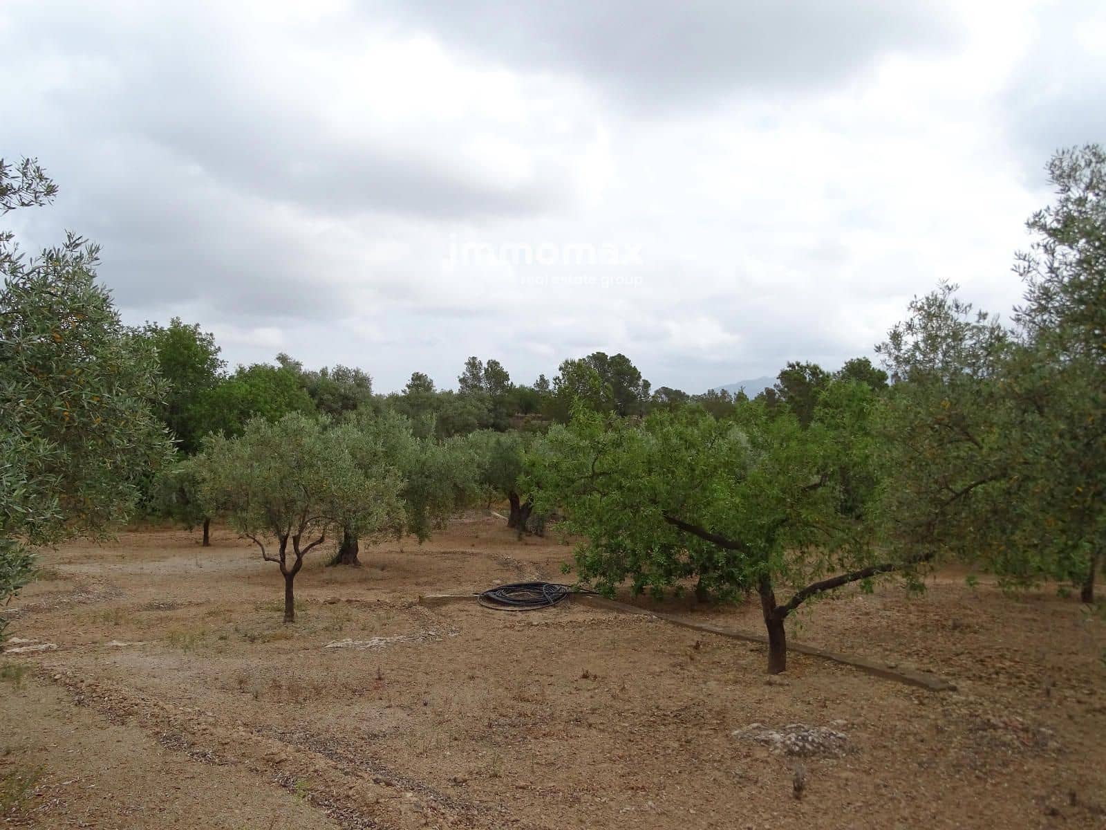 Teren niezagospodarowany na sprzedaż w Xerta - 66 000 € (Ref: 9138282)