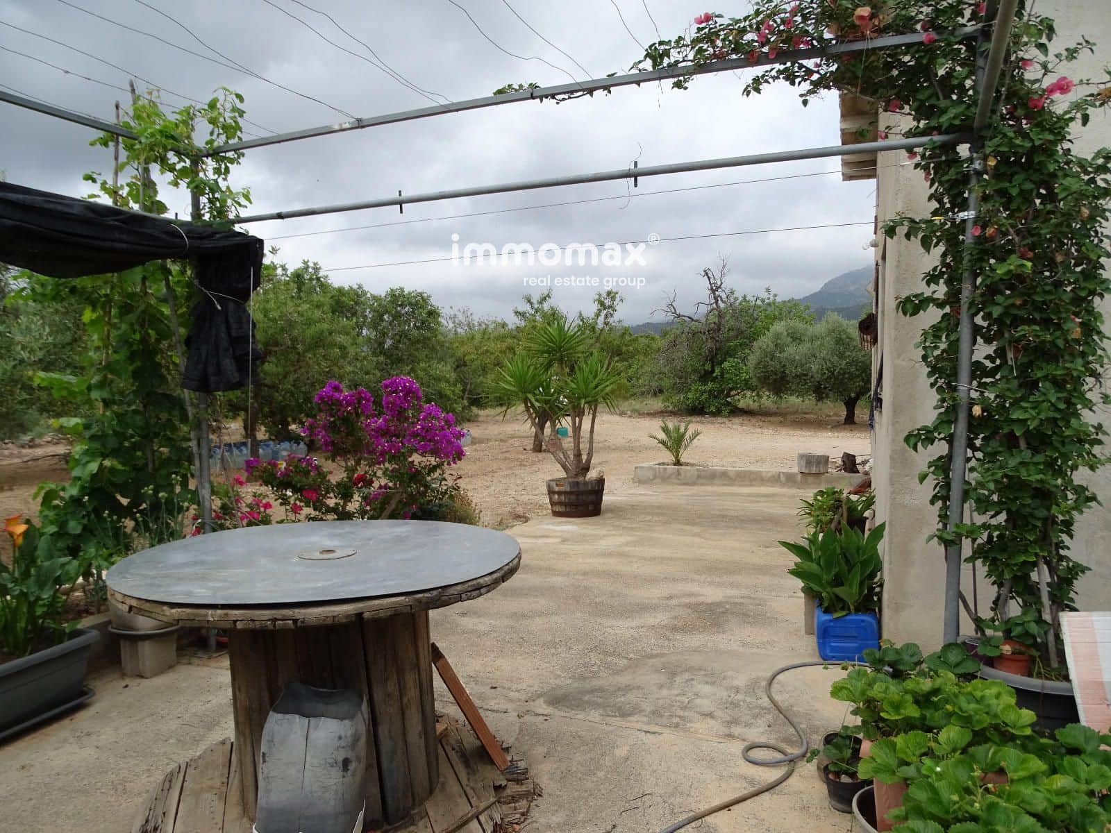 Teren niezagospodarowany na sprzedaż w Xerta - 66 000 € (Ref: 9138282)