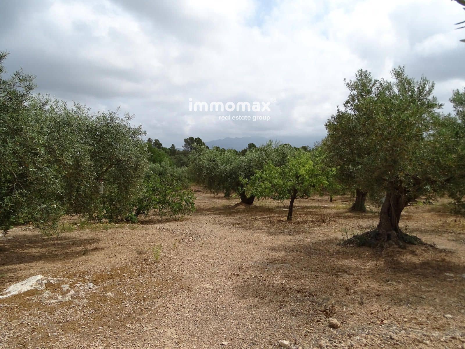 Teren niezagospodarowany na sprzedaż w Xerta - 66 000 € (Ref: 9138282)