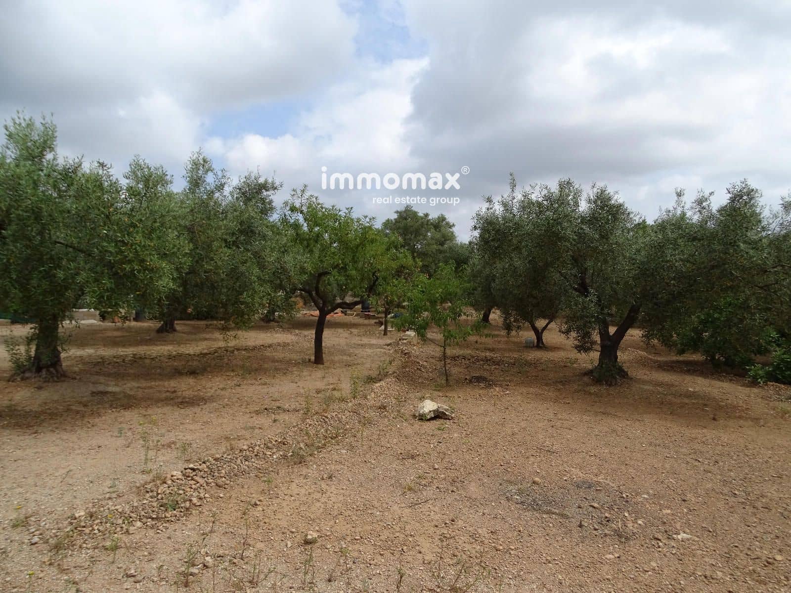 Teren niezagospodarowany na sprzedaż w Xerta - 66 000 € (Ref: 9138282)