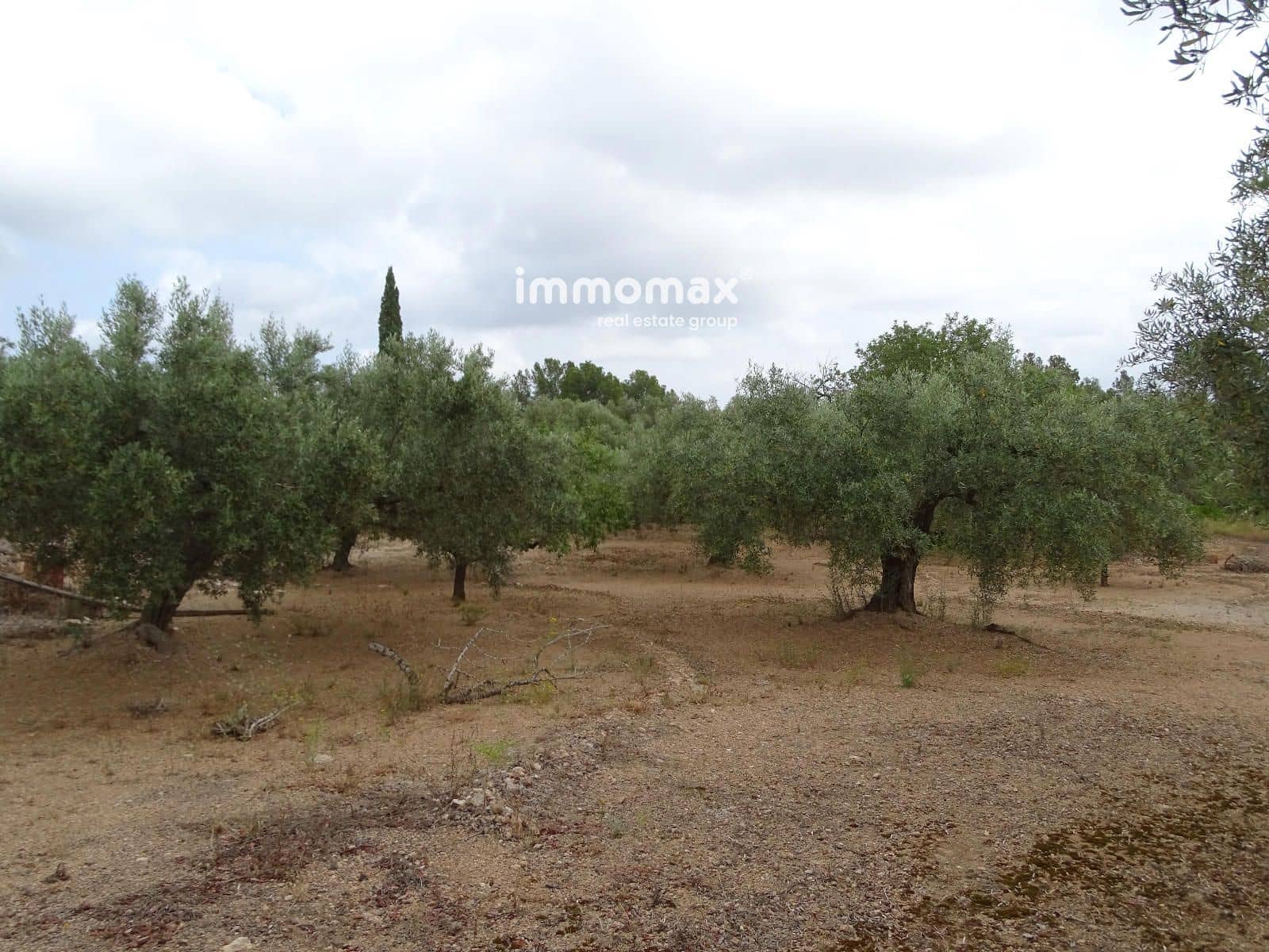 Teren niezagospodarowany na sprzedaż w Xerta - 66 000 € (Ref: 9138282)