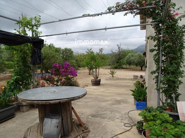 Undeveloped Land for sale in Xerta - € 66,000 (Ref: 9138282)