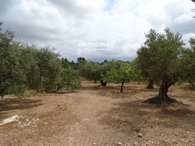 Undeveloped Land for sale in Xerta - € 66,000 (Ref: 9138282)