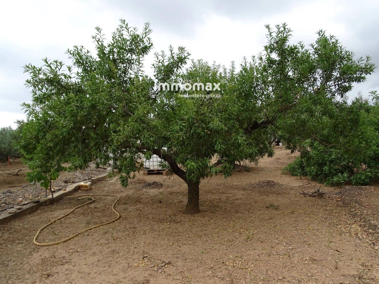 Teren niezagospodarowany na sprzedaż w Xerta - 66 000 € (Ref: 9138282)