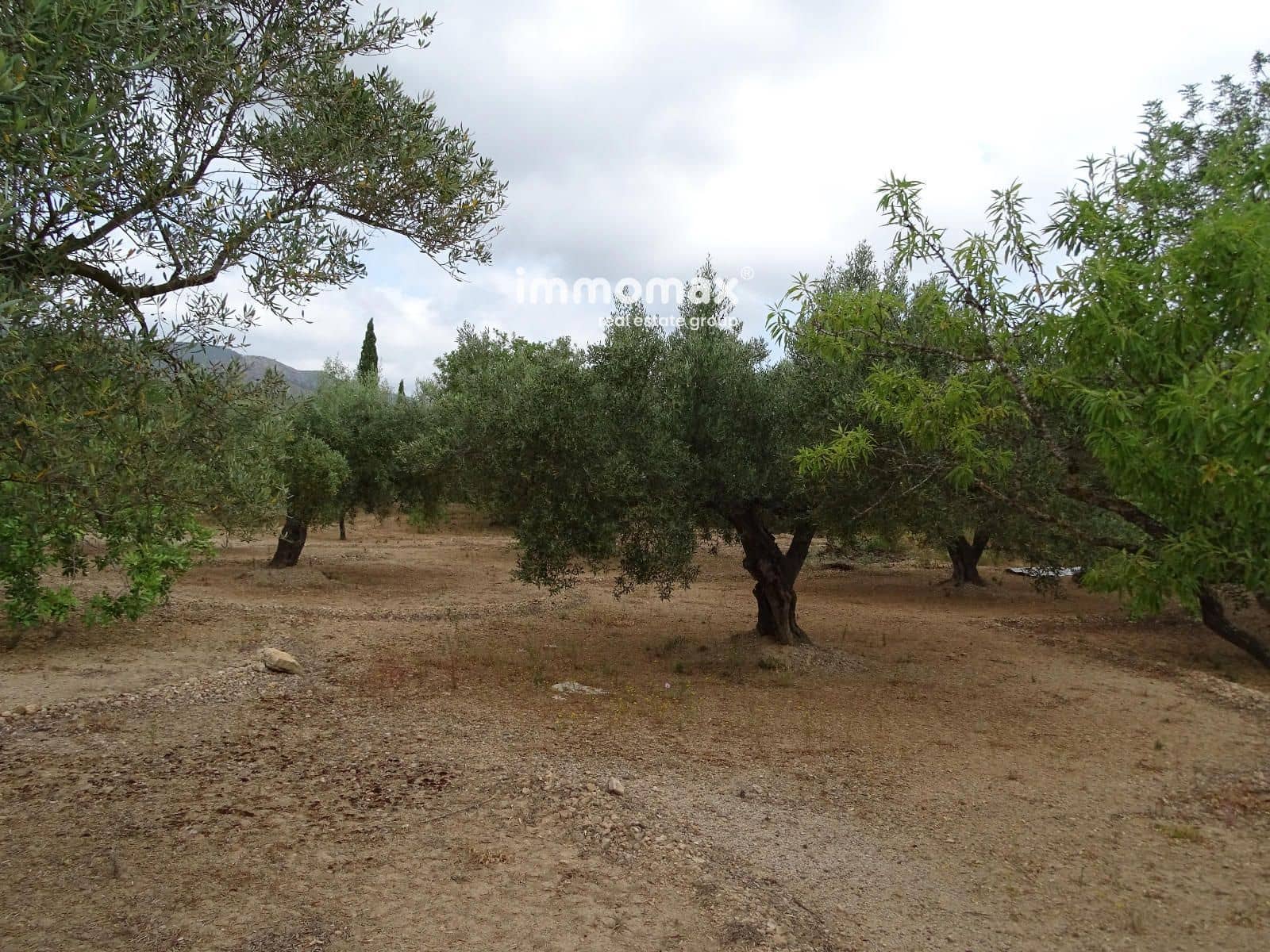 Teren niezagospodarowany na sprzedaż w Xerta - 66 000 € (Ref: 9138282)