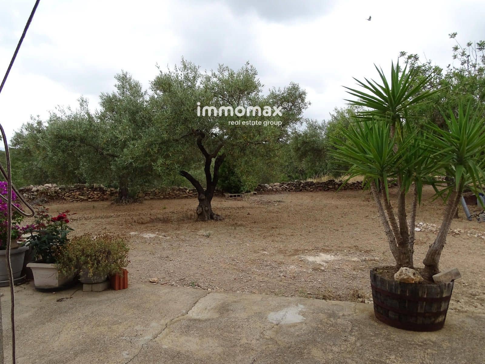 Teren niezagospodarowany na sprzedaż w Xerta - 66 000 € (Ref: 9138282)