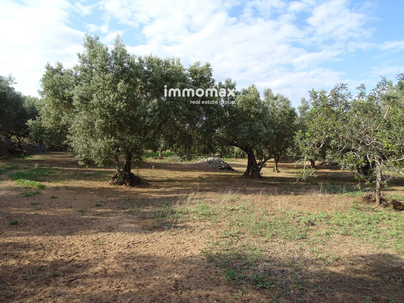 Terre non Aménagée à vendre à Xerta - 32 000 € (Ref: 9138283)