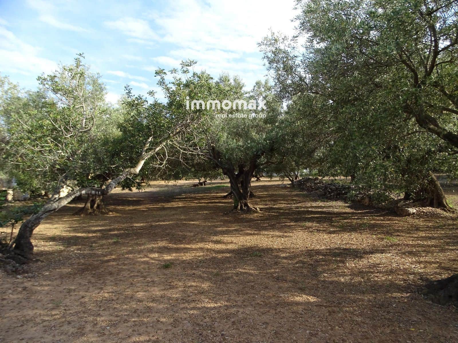 Terre non Aménagée à vendre à Xerta - 32 000 € (Ref: 9138283)