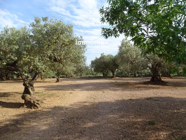 Undeveloped Land for sale in Xerta - € 32,000 (Ref: 9138283)