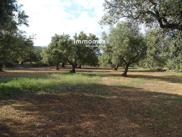 Undeveloped Land for sale in Xerta - € 32,000 (Ref: 9138283)