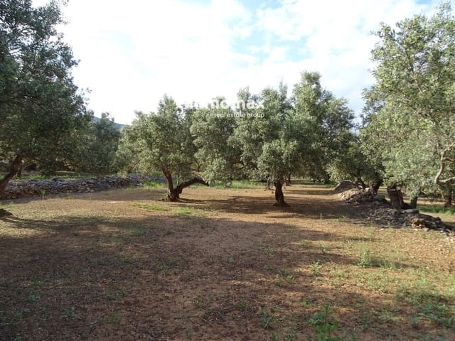 Undeveloped Land for sale in Xerta - € 32,000 (Ref: 9138283)