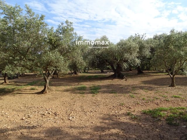 Undeveloped Land for sale in Xerta - € 32,000 (Ref: 9138283)