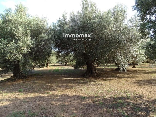 Undeveloped Land for sale in Xerta - € 32,000 (Ref: 9138283)