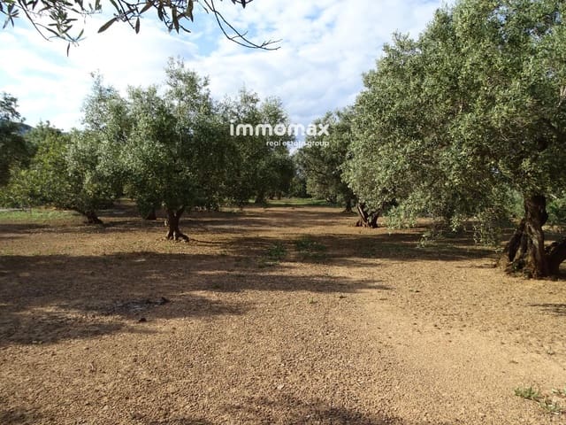 Undeveloped Land for sale in Xerta - € 32,000 (Ref: 9138283)