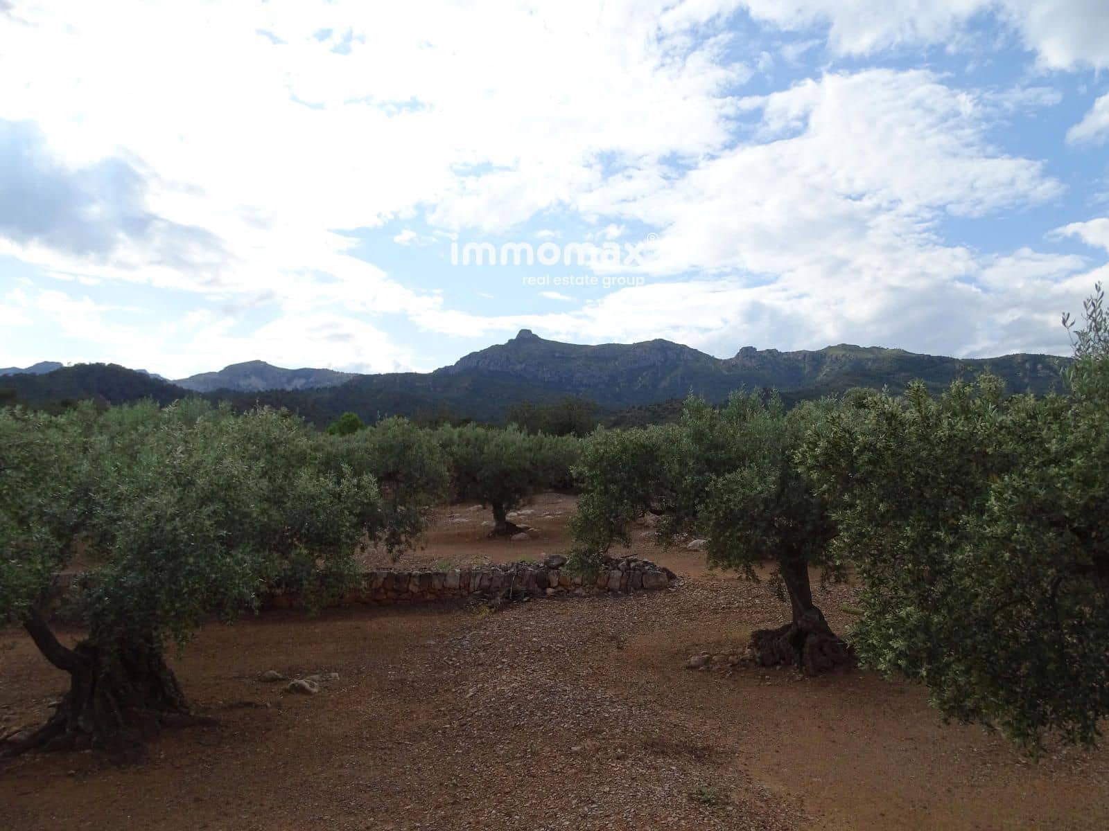Undeveloped Land for sale in Xerta - € 42,000 (Ref: 9138284)