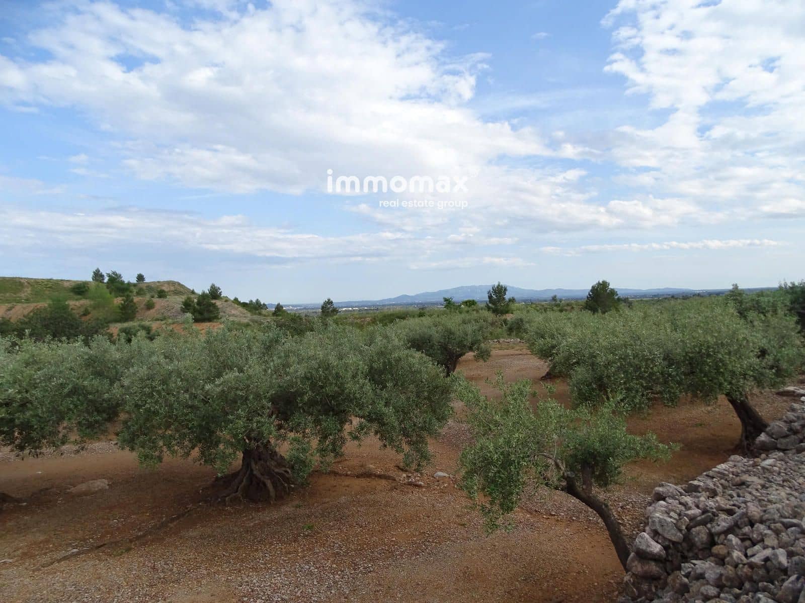 Undeveloped Land for sale in Xerta - € 42,000 (Ref: 9138284)
