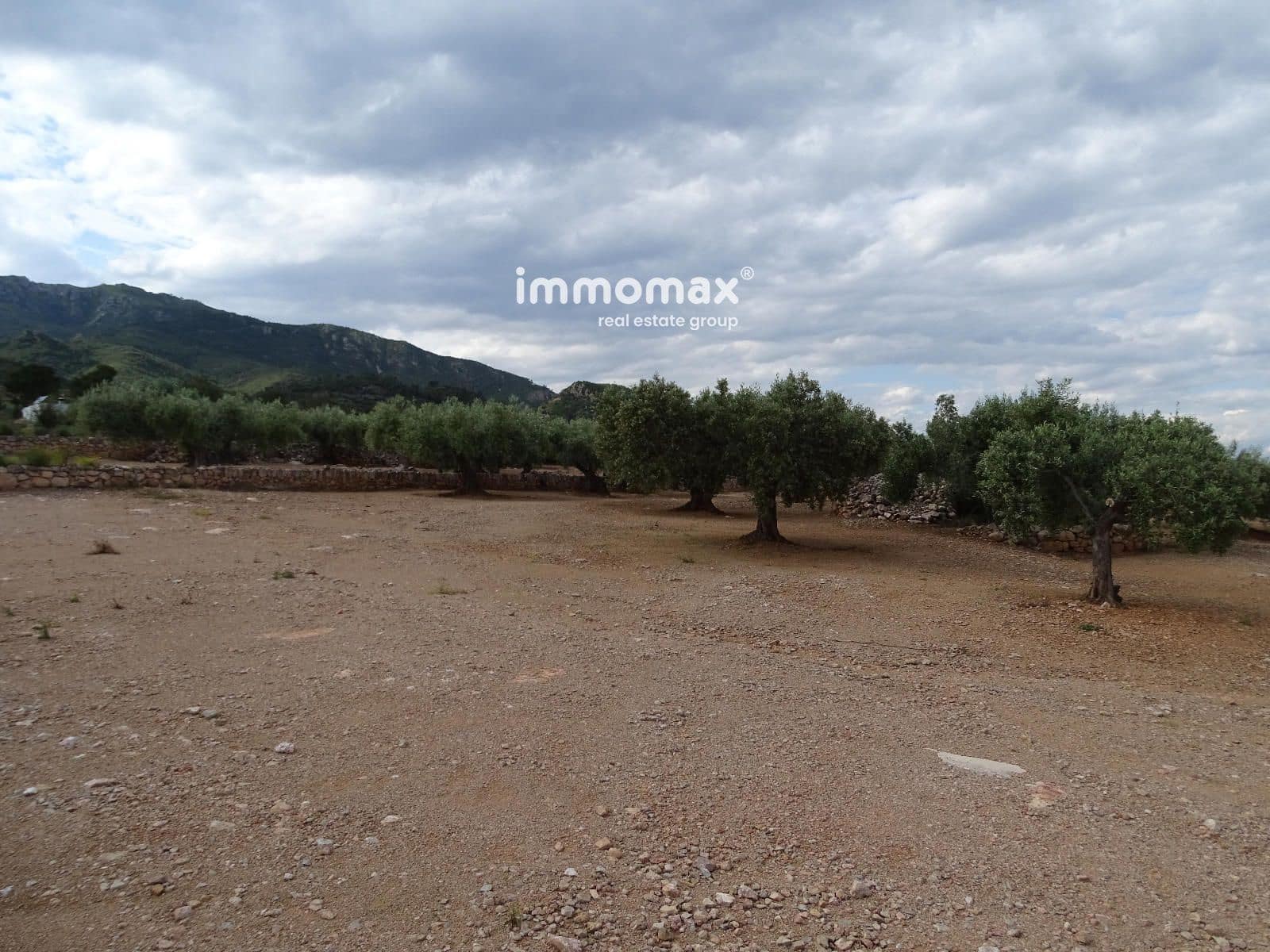 Undeveloped Land for sale in Xerta - € 42,000 (Ref: 9138284)