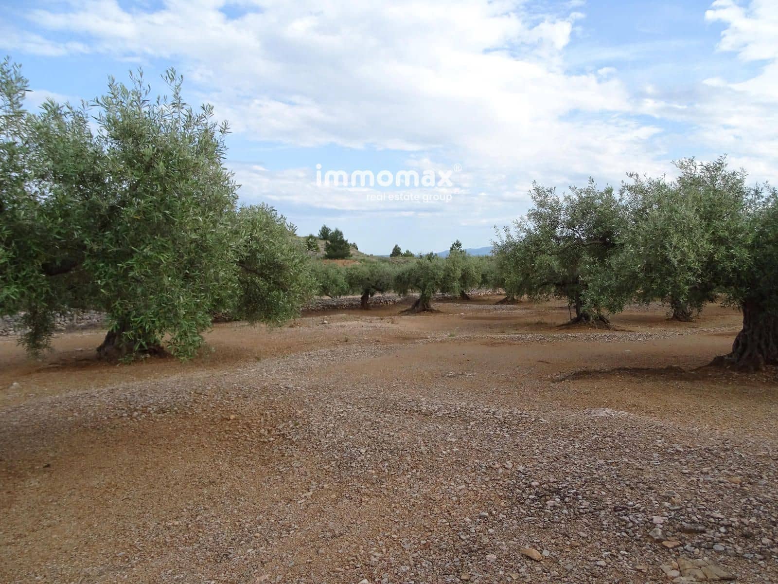 Undeveloped Land for sale in Xerta - € 42,000 (Ref: 9138284)
