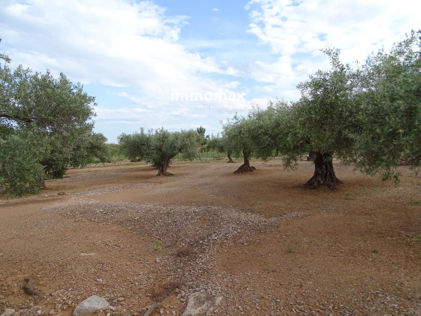 Undeveloped Land for sale in Xerta - € 42,000 (Ref: 9138284)