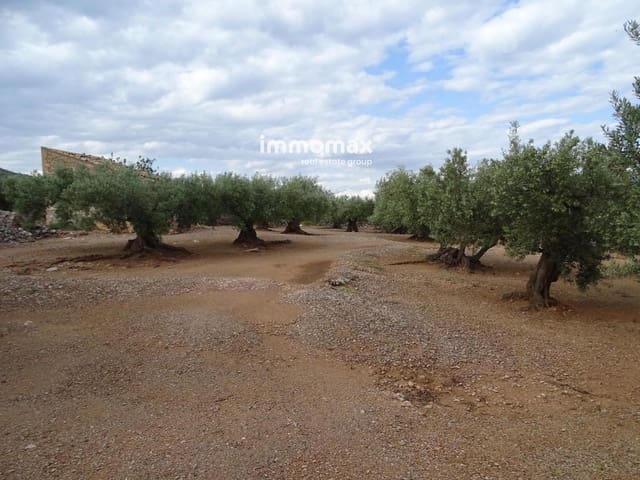 Undeveloped Land for sale in Xerta - € 42,000 (Ref: 9138284)