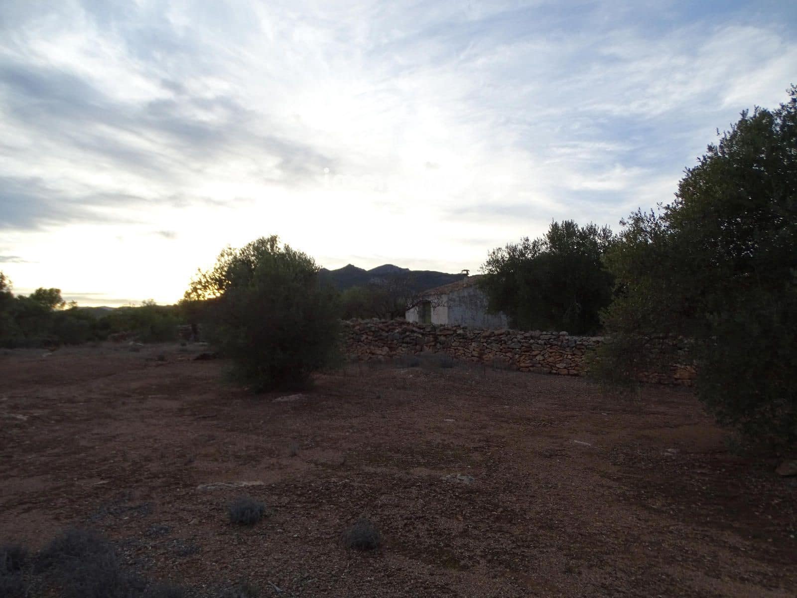Undeveloped Land for sale in Xerta - € 59,000 (Ref: 9138487)