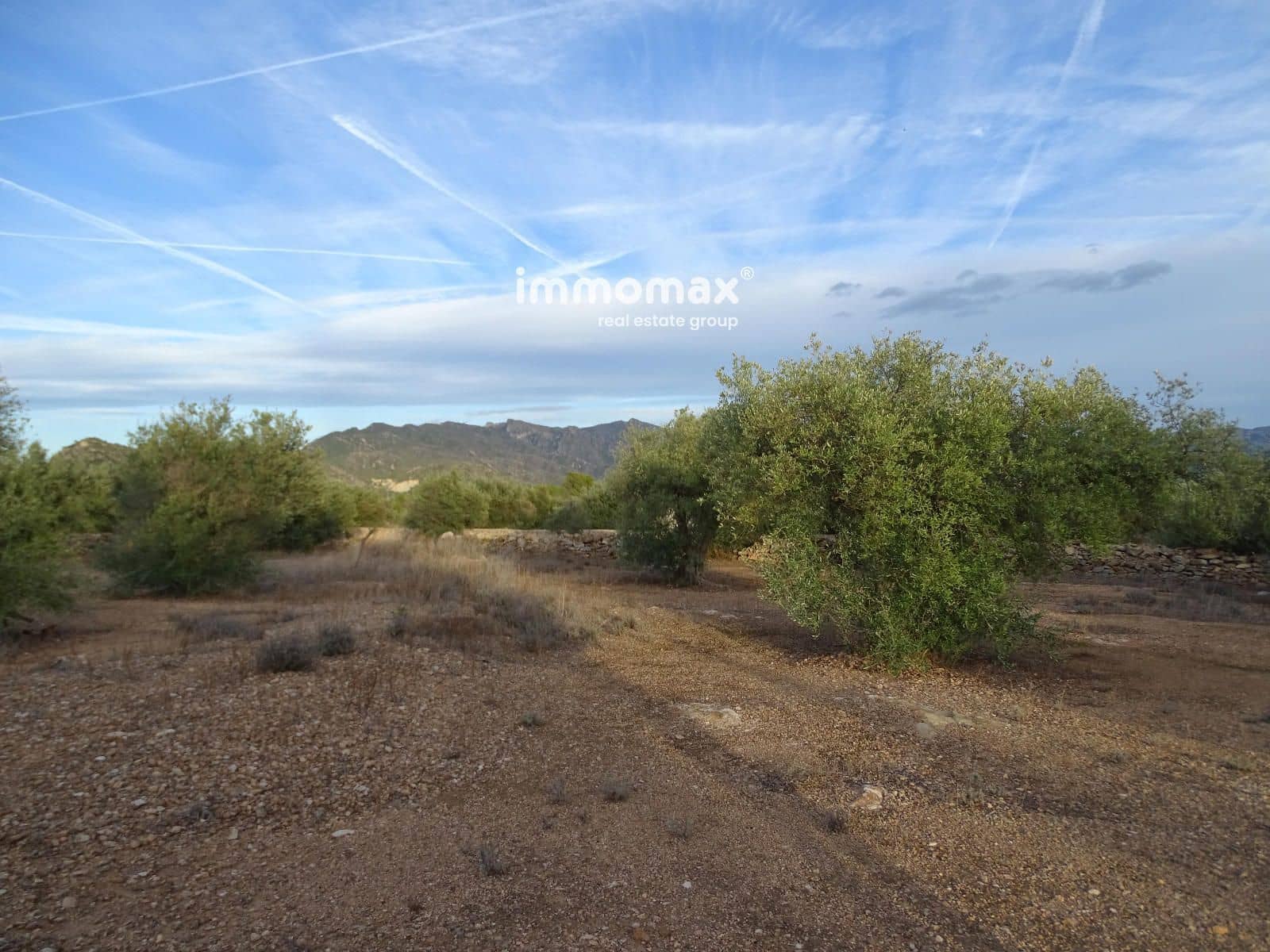 Undeveloped Land for sale in Xerta - € 59,000 (Ref: 9138487)