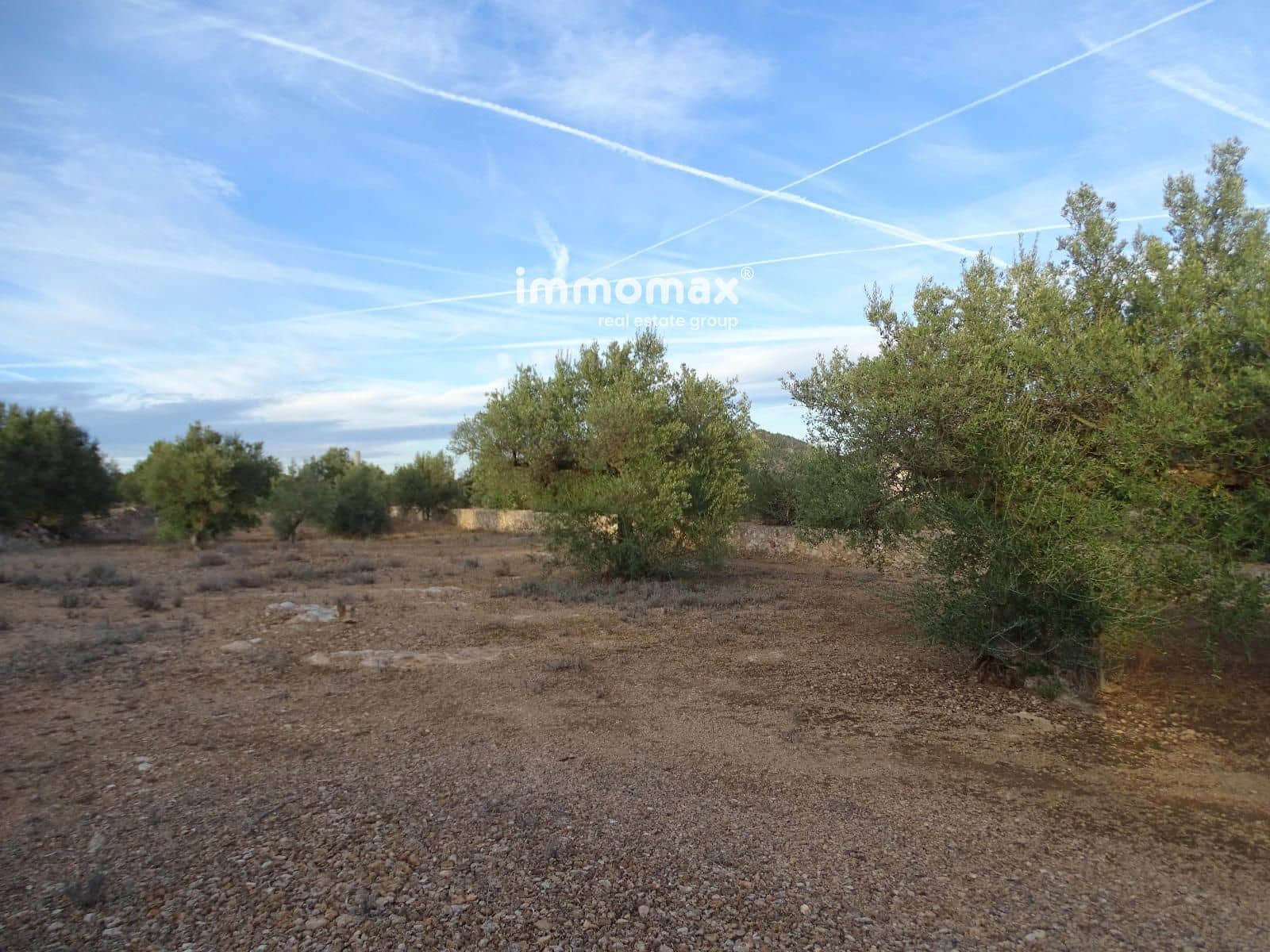 Undeveloped Land for sale in Xerta - € 59,000 (Ref: 9138487)